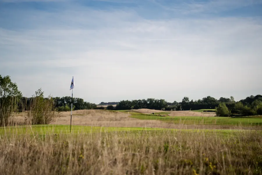 A flag beyond the long grass, trees behind