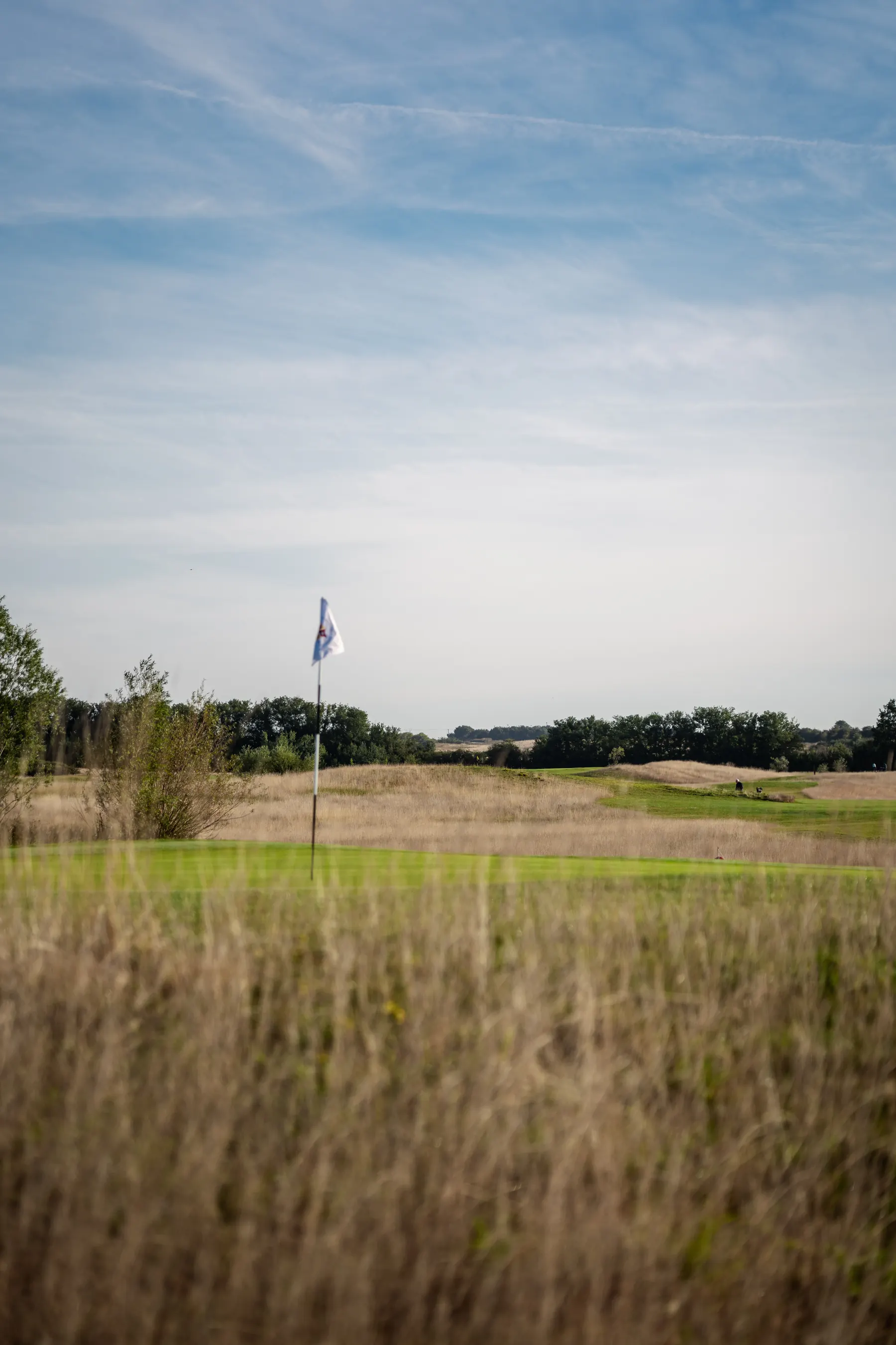 A flag on a green, seen beyond long grass