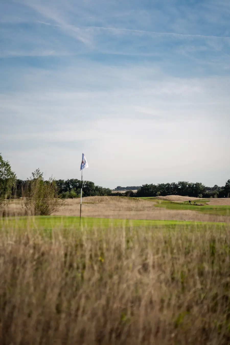 A flag beyond the long grass, under a pale blue sky