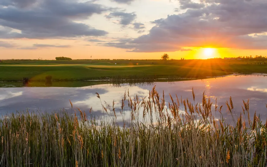 Sunset over the lake and reeds by the 18th